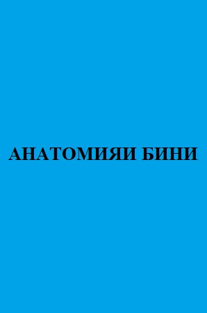 АНАТОМИЯИ БИНИ