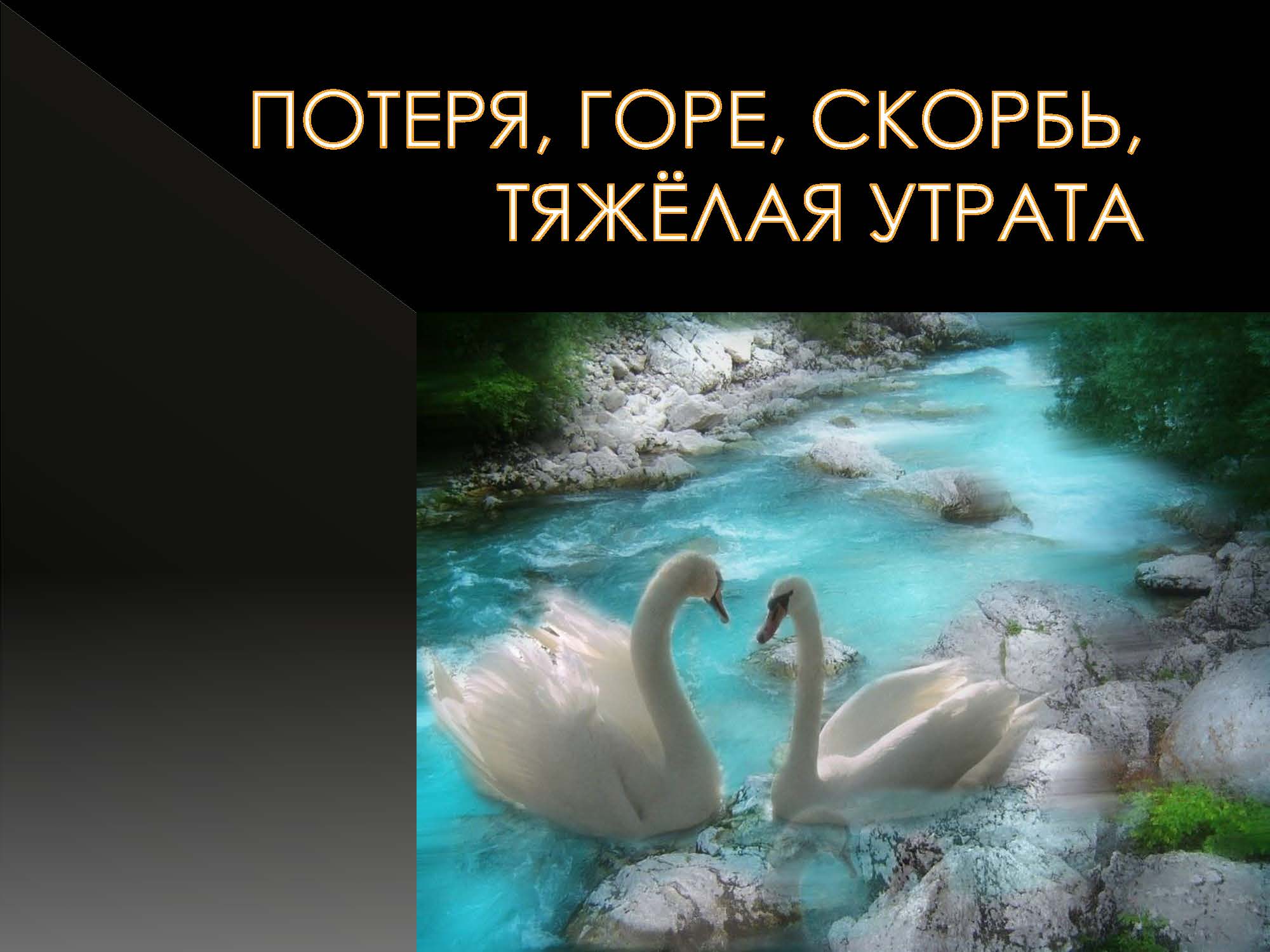 ПОТЕРЯ, ГОРЕ, СКОРБЬ, ТЯЖЁЛАЯ УТРАТА