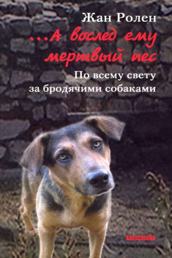 А вослед ему мертвый пес По всему свету за бродячими собаками