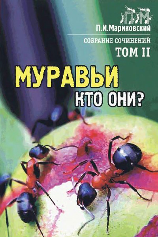 Муравьи, кто они