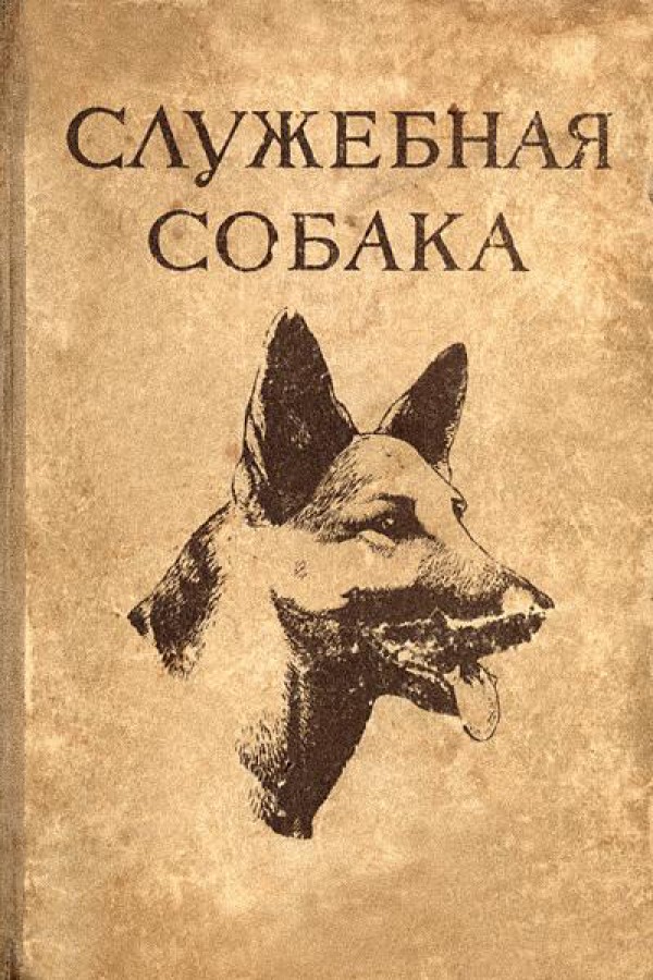 Служебная собака.