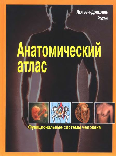 АНАТОМИЧЕСКИЙ АТЛАС