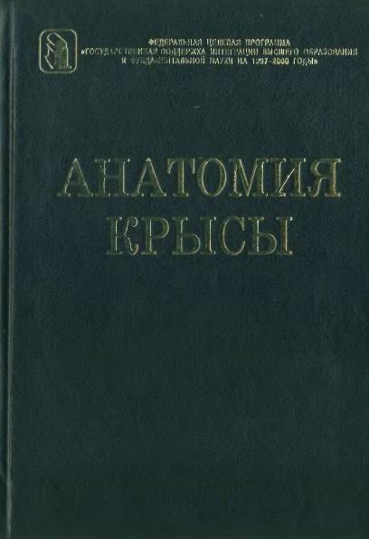 АНАТОМИЯ  КРЫСЫ