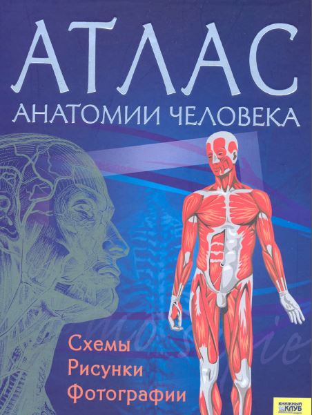 АТЛАС АНАТОМИИ ЧЕЛОВЕКА