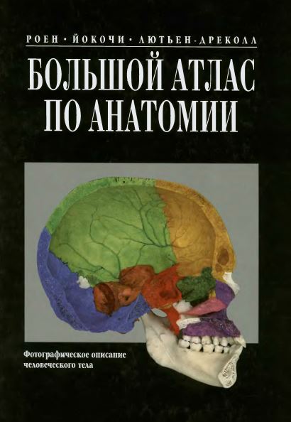 Большой атлас по анатомии