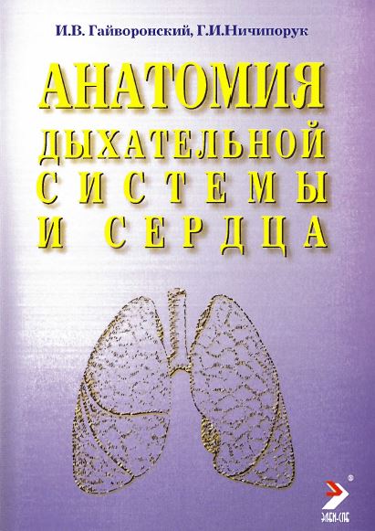 АНАТОМИЯ  ДЫХАТЕЛЬНОЙ СИСТЕМЫ И СЕРДЦА