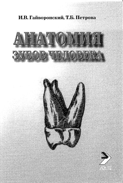 АНАТОМИЯ ЗУБОВ ЧЕЛОВЕКА