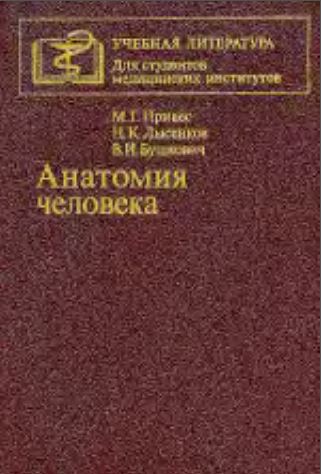 Анатомия  человека