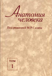 Анатомия человека ТОМ II