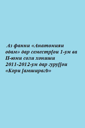 Анатомияи одам