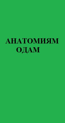 АНАТОМИЯМ ОДАМ