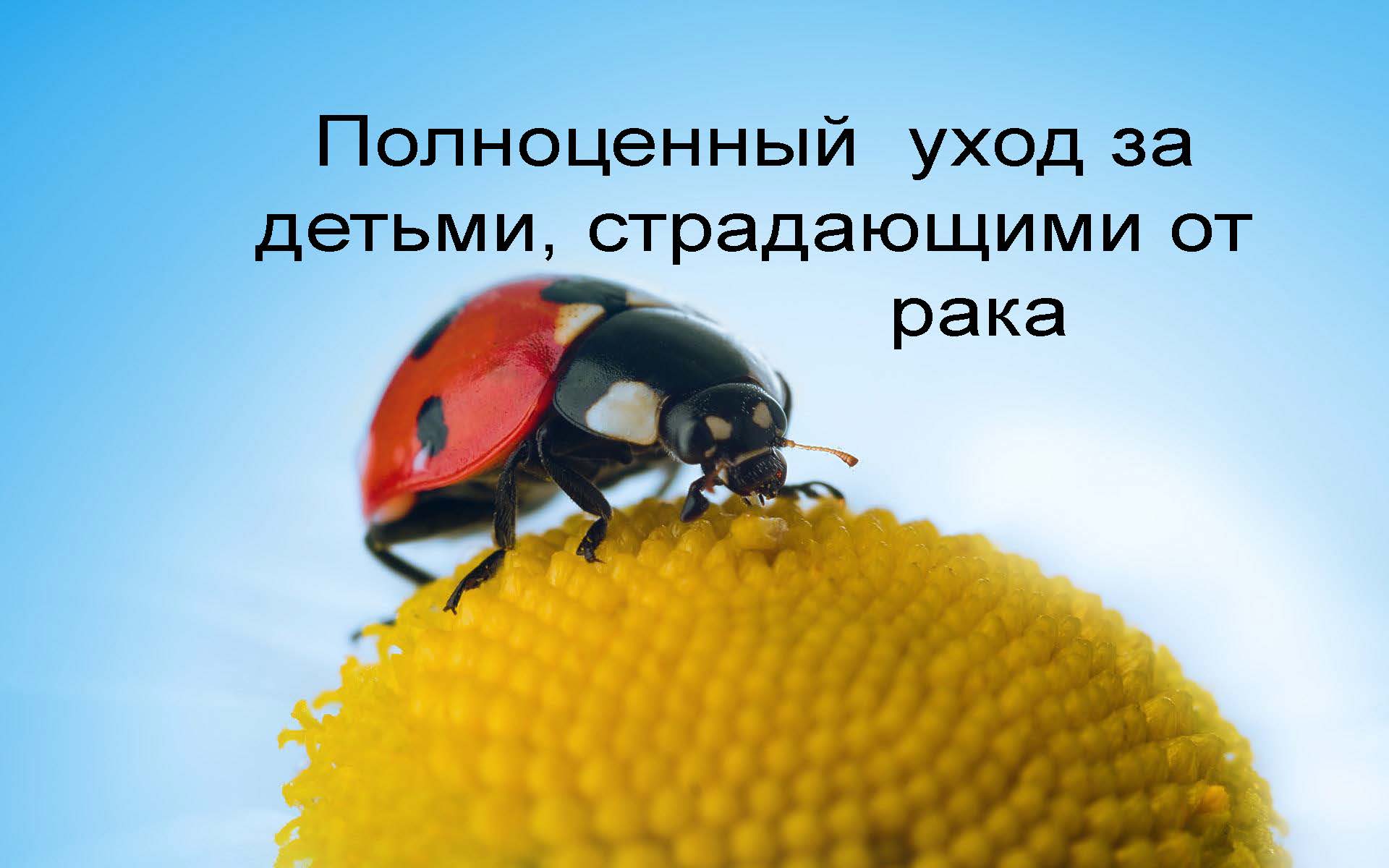 Полноценный уход за детьми, страдающими отрака