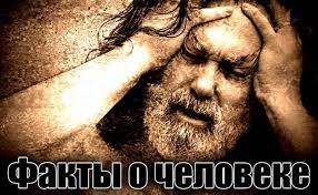 ВНУТРЕННИЕ ОРГАНЫ ЧЕЛОВЕКА НЕВЕРОЯТНЫЕ ФАКТЫ ТОП 10 360 X 360